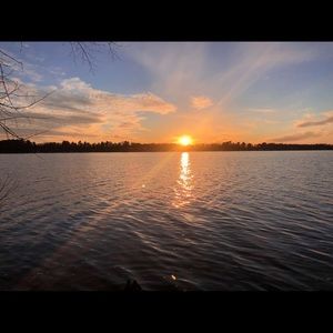 Meet your Posher, Lexi